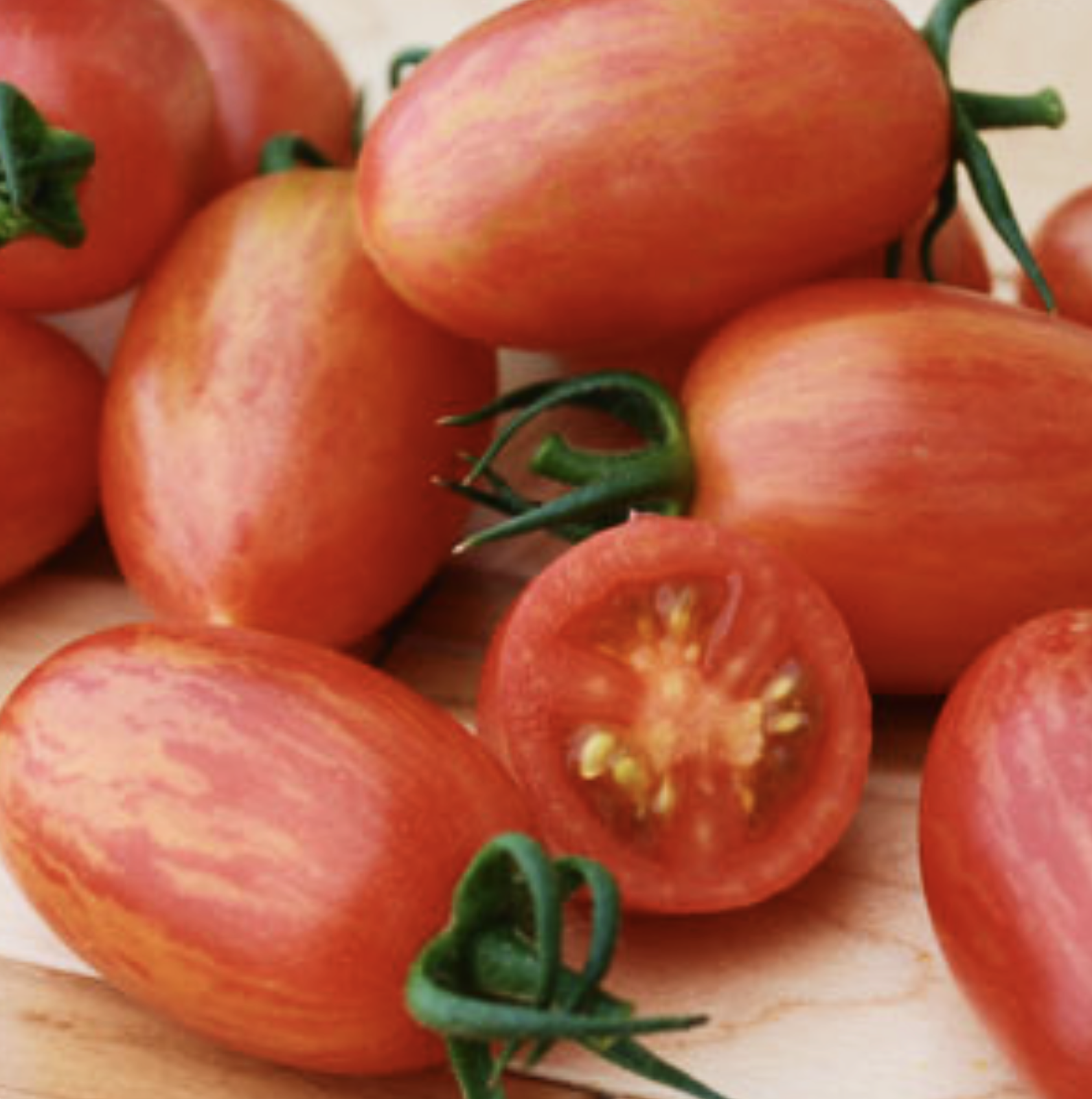 Substitutes — Chicago Tomato Man